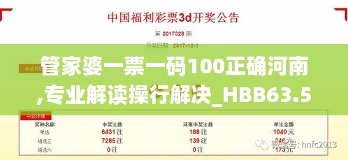 管家婆一票一码100正确河南,专业解读操行解决_HBB63.509旗舰设备版