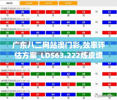 广东八二网站澳门彩,效率评估方案_LDS63.222炼皮境