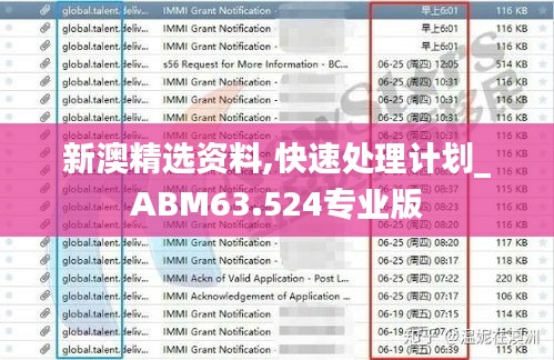 新澳精选资料,快速处理计划_ABM63.524专业版