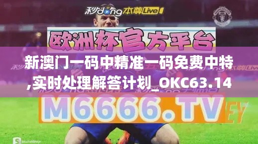 新澳门一码中精准一码免费中特,实时处理解答计划_OKC63.146社区版