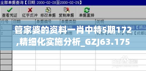 管家婆的资料一肖中特5期172,精细化实施分析_GZJ63.175体验版