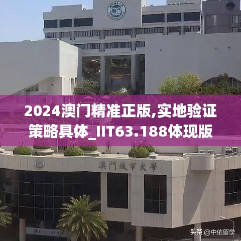 2024澳门精准正版,实地验证策略具体_IIT63.188体现版