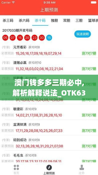 澳门钱多多三期必中,解析解释说法_OTK63.468限定版