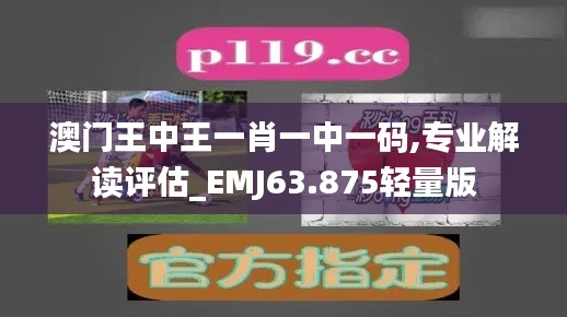 澳门王中王一肖一中一码,专业解读评估_EMJ63.875轻量版