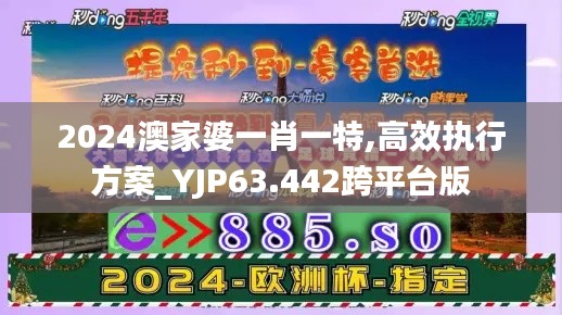 2024澳家婆一肖一特,高效执行方案_YJP63.442跨平台版