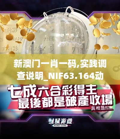 新澳门一肖一码,实践调查说明_NIF63.164动态版