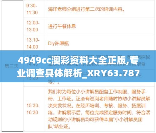 4949cc澳彩资料大全正版,专业调查具体解析_XRY63.787愉悦版