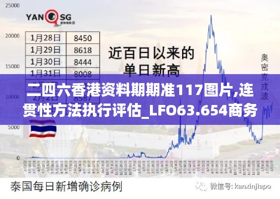 二四六香港资料期期准117图片,连贯性方法执行评估_LFO63.654商务版