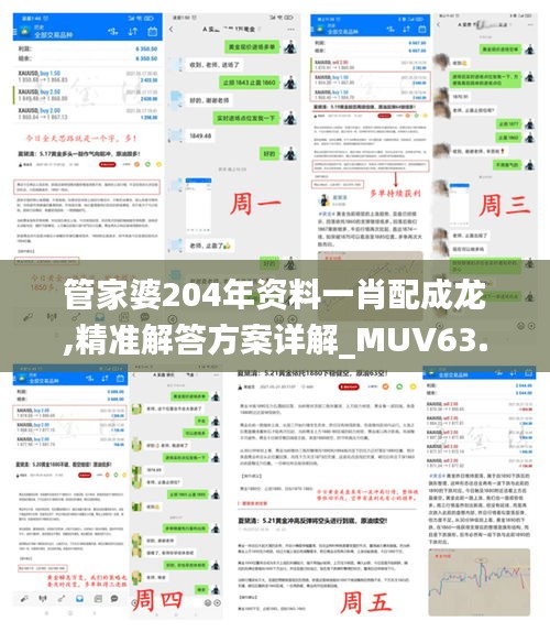 管家婆204年资料一肖配成龙,精准解答方案详解_MUV63.994黑科技版