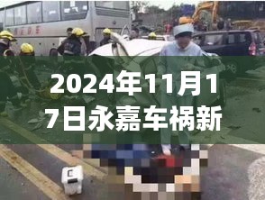 2024年11月17日永嘉车祸新闻最新情况及深度分析