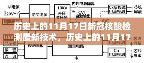 揭秘历史上重要日期，11月17日新冠核酸检测最新技术进展揭秘