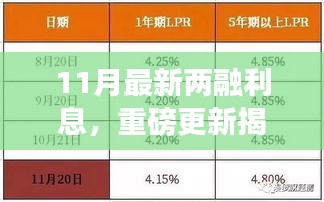 揭秘十一月最新两融利息变化，你的钱包如何应对重磅更新？