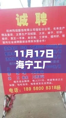 海宁工厂招聘最新信息揭秘，11月17日的机遇与挑战