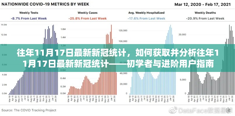 往年11月17日最新新冠统计分析与获取指南，初学者与进阶用户指南详解