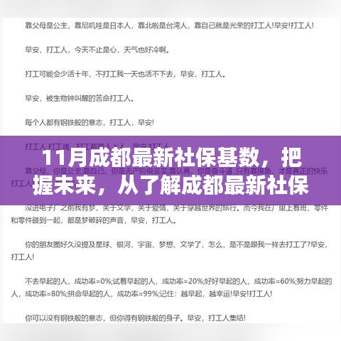 成都最新社保基数解析，励志之旅，把握未来成长之路