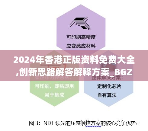 2024年香港正版资料免费大全,创新思路解答解释方案_BGZ8.65.38旅行者特别版