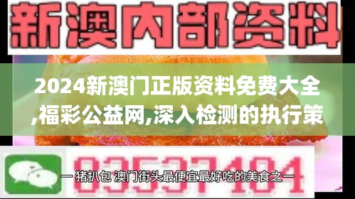 2024新澳门正版资料免费大全,福彩公益网,深入检测的执行策略_BVX1.75.60实验版