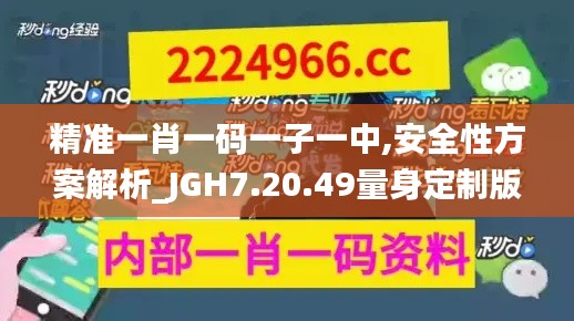 精准一肖一码一子一中,安全性方案解析_JGH7.20.49量身定制版