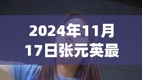 张元英最新动向解析，2024年11月17日的观点洞察与最新动向揭秘