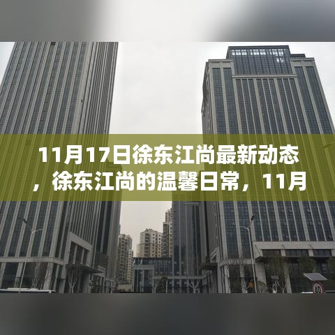 徐东江尚温馨日常，11月17日的快乐时光记录