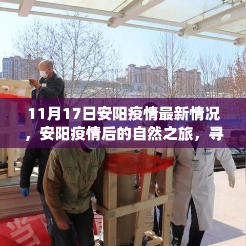 安阳疫情最新动态与疫情后的自然之旅，寻找内心的宁静与力量