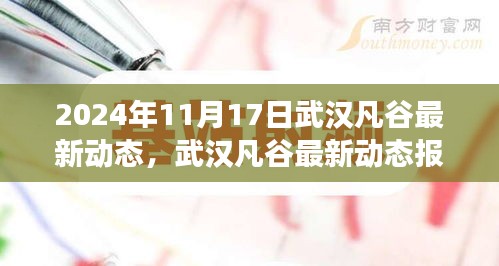 武汉凡谷最新动态报道，科技与创新进展（2024年11月17日）