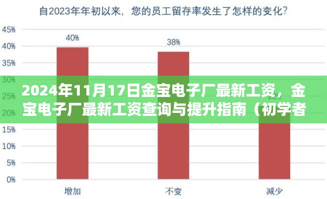 金宝电子厂最新工资揭秘，查询指南与提升建议（适用于初学者与进阶用户）