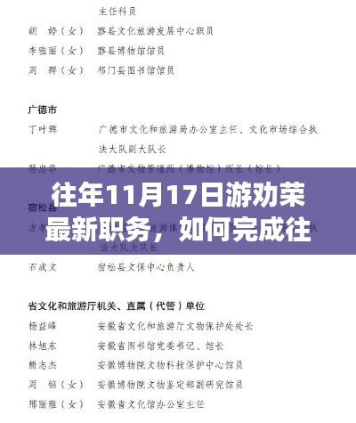 游劝荣最新职务执行指南，如何完成往年11月17日的职务任务详细步骤与策略