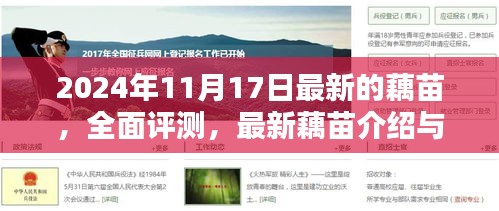 最新藕苗深度评测与介绍，深度体验报告（2024年11月版）