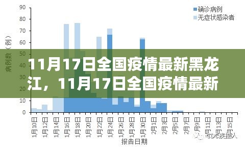 11月17日全国疫情最新黑龙江深度测评与详细介绍