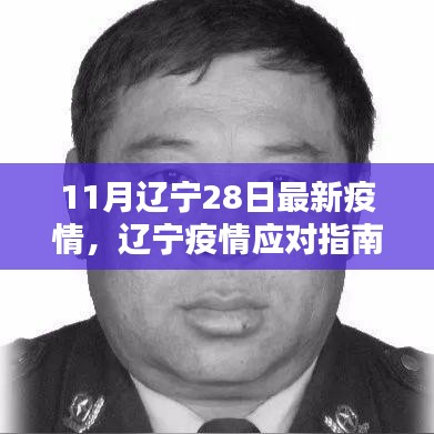 辽宁疫情最新动态，应对指南与防护步骤（11月28日更新）