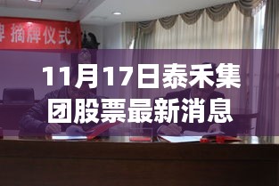 泰禾集团股票最新动态与行业焦点聚焦，11月17日更新消息