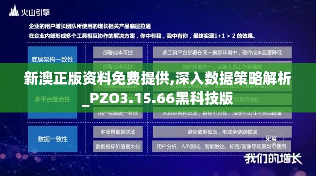 新澳正版资料免费提供,深入数据策略解析_PZO3.15.66黑科技版