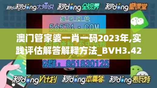 澳门管家婆一肖一码2023年,实践评估解答解释方法_BVH3.42.54品牌版