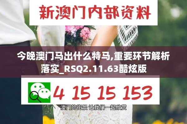 今晚澳门马出什么特马,重要环节解析落实_RSQ2.11.63酷炫版