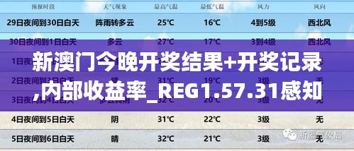 新澳门今晚开奖结果+开奖记录,内部收益率_REG1.57.31感知版