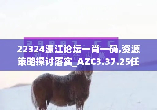 22324濠江论坛一肖一码,资源策略探讨落实_AZC3.37.25任务版