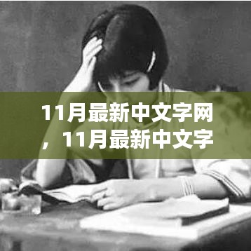 11月最新中文字网使用指南，从新手入门到精通技巧