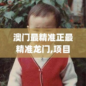 澳门最精准正最精准龙门,项目管理推进方案_ONS8.16.74光辉版