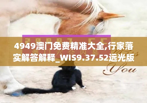 4949澳门免费精准大全,行家落实解答解释_WIS9.37.52远光版