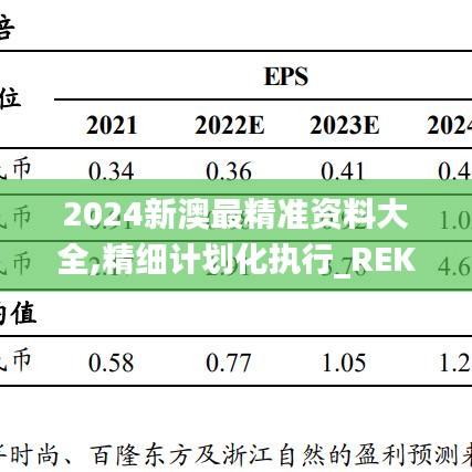 2024新澳最精准资料大全,精细计划化执行_REK3.13.57可靠性版