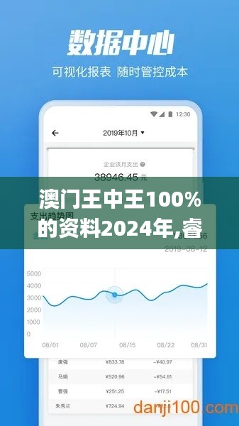 澳门王中王100%的资料2024年,睿智分析执行落实_YUG5.46.31VR版