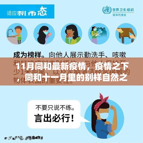 同和十一月疫情下的自然之旅，寻找内心的宁静与力量