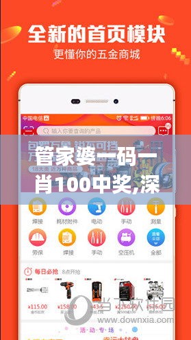 管家婆一码一肖100中奖,深入数据执行计划_CMZ2.20.26潮流版