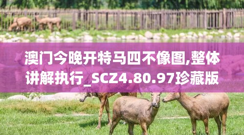 澳门今晚开特马四不像图,整体讲解执行_SCZ4.80.97珍藏版