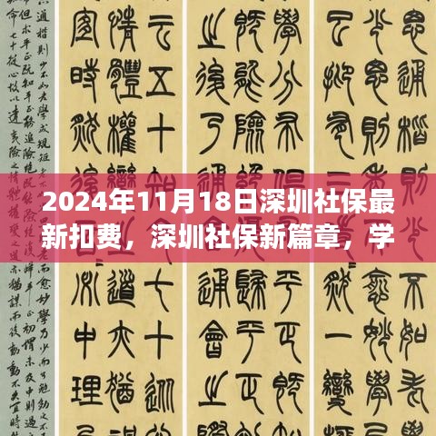 深圳社保新篇章，2024年最新扣费鼓舞人心，学习变化自信成就未来