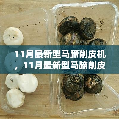 11月最新型马蹄削皮机全面解析，使用指南与入门到精通教程