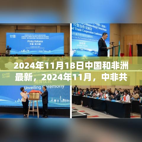 中非共绘自然美景之旅，心灵港湾的探寻之旅（2024年11月）