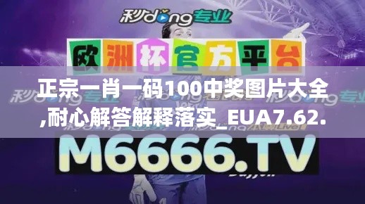 正宗一肖一码100中奖图片大全,耐心解答解释落实_EUA7.62.26清新版