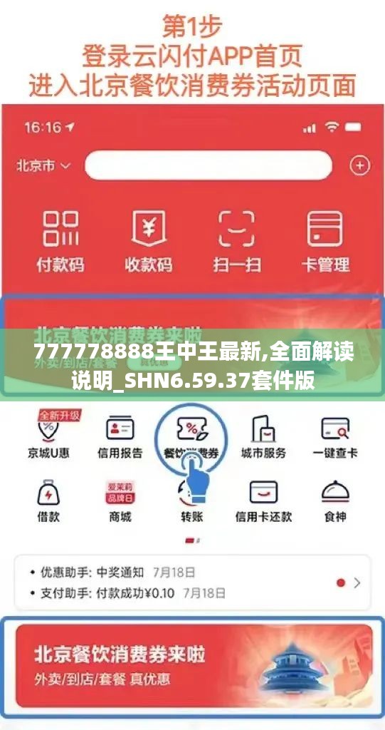 777778888王中王最新,全面解读说明_SHN6.59.37套件版